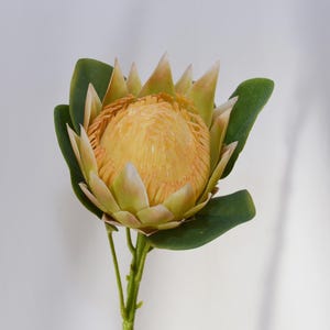 Artificial Protea Flower Stem, Faux Tropical King Protea, Realistic Bloom for Home Flower Decor, Floral Arrangements, Wedding Centerpieces