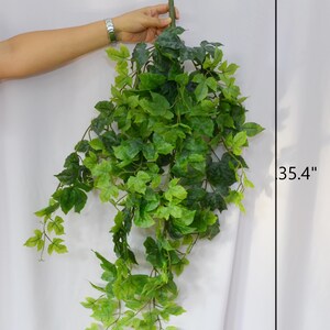 Pu&ograve; includere: Una lunga vite artificiale verde con foglie di un mix di verde chiaro e scuro. La vite &egrave; lunga 90 cm.
