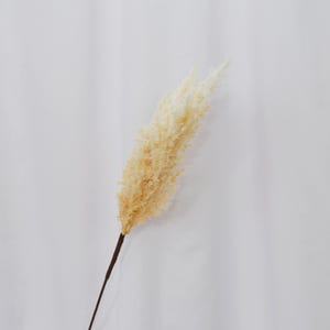 Fake hay - Etsy.de