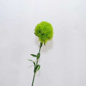 Artificial Green Trick Dianthus Spray, Faux Moss Ball Flower Stem for Bouquets, Real Touch Bloom, Wedding Centerpieces, Home Floral Decor