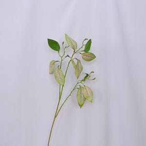 Artificial Caladium Leaf Stem, Faux Variegated Greenery with Pink Veins for Tropical Bouquets, Home Floral Decor, Wedding Plant Centerpieces