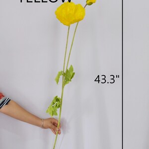 May include: A single, vibrant yellow poppy flower with green leaves and stem. The flower is 43.3 inches in length, with the word "YELLOW" above it.