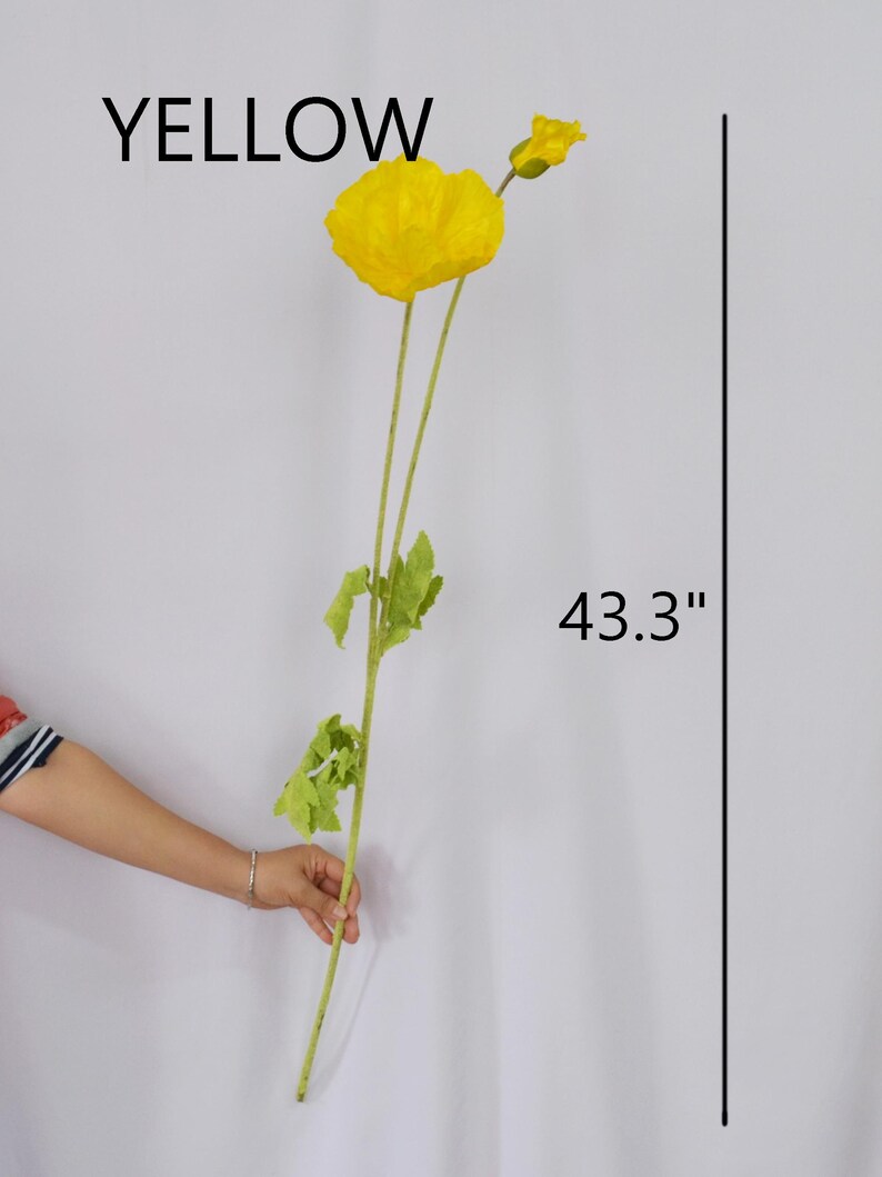 May include: A single, vibrant yellow poppy flower with green leaves and stem. The flower is 43.3 inches in length, with the word "YELLOW" above it.