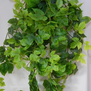 Pu&ograve; includere: Un lungo filo di edera artificiale verde con foglie di diverse dimensioni. L'edera pende dalla parte superiore dell'immagine.