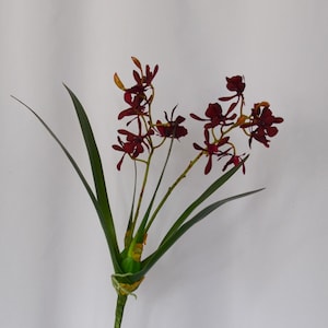Op de afbeelding: Een stengel kunstbloemen met donkerrode bloemen en lange, groene bladeren. De bloemen hebben meerdere bloemblaadjes en zijn gegroepeerd. De bladeren zijn lang en slank, en de stengel is lichtgroen.