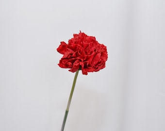 Artificial Carnation Stem, Realistic Faux Carnation Flower for Wedding Bouquet, Home Floral Decor, Wedding Arrangements, Table Centerpieces