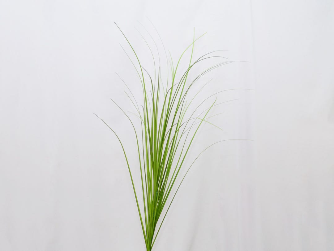 Artificial Reed Grass Stem, Faux Tall Green Grass Spray for Home Decor ...