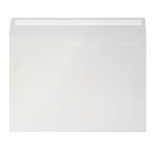 May include: A white envelope with a clear window on the front.