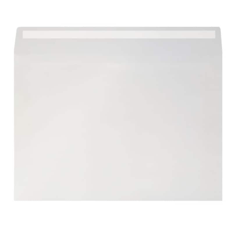 May include: A white envelope with a clear window on the front.
