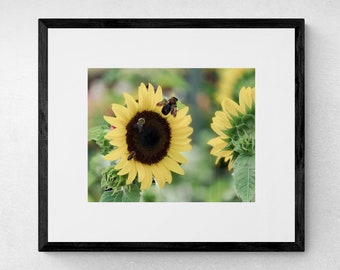 Bees on Sunflower Photograph, Nature Print, Bee Print, Sunflower Print, Yellow Wall Art, Bee Photo, Farmhouse Decor