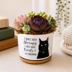 May include: A white ceramic planter with a black cat illustration and the text "I don't need therapy, I just need treats...and Salem". The planter is filled with colorful succulents and sits on a wooden saucer.