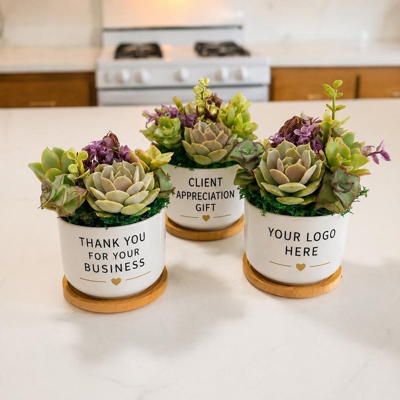 Customized Planter With Logo - Etsy