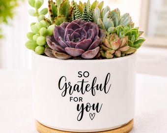 Thank You Succulent Gift Personalized Quote Planter Live Succulent Arrangement