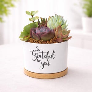 May include: A white ceramic planter with a variety of succulents, including green, purple, and reddish-brown varieties. The planter has the text "So Grateful for you" in black script and sits on a wooden base.