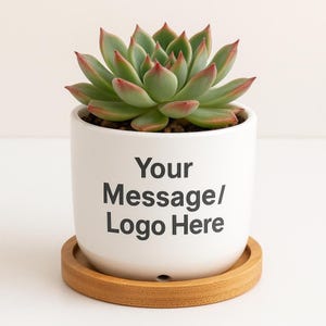 May include: White ceramic succulent planter with a wooden base. The planter has the text "Your Message/Logo Here" printed on the front.