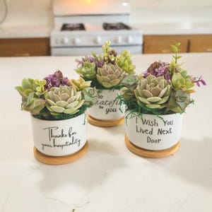 May include: Three small white ceramic pots with succulents, each on a wooden coaster. The succulents have green, purple, and light green leaves. One pot says "Thanks for your hospitality", another says "So grateful for you", and the third says "I Wish You Lived Next Door".
