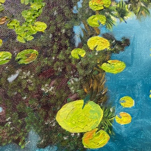 Lilly pad, pool, monet, lillies pads,