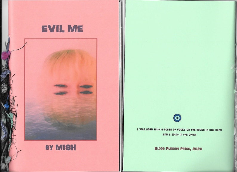 Evil Me by MISH 2020 Blood Pudding Press poetry chapbook evil, quirky, darkly delicious, 19 poems by Eileen Mish Murphy image 5