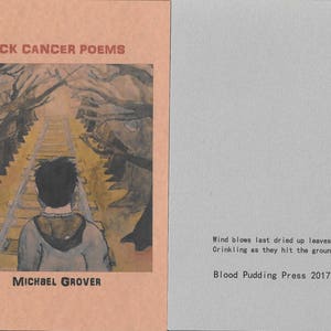 Fuck Cancer Poems by Michael Grover 2017 Blood Pudding Press Poetry Chapbook 22 Poems by a poet living with cancer image 4