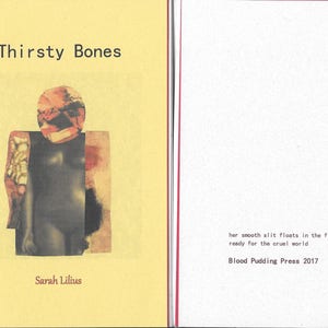 Thirsty Bones by Sarah Lilius 2017 Blood Pudding Press Poetry Chapbook a female body is her own image 2
