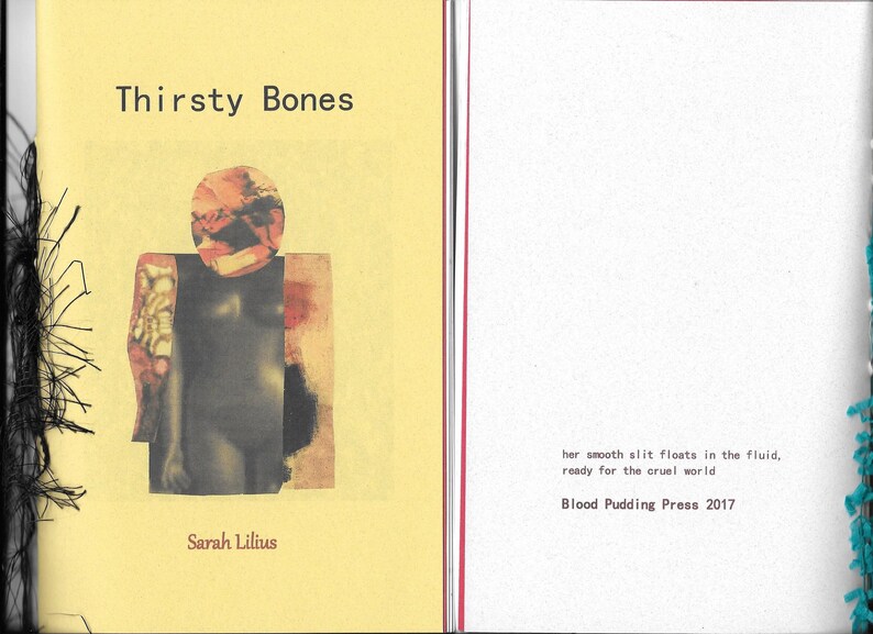 Thirsty Bones by Sarah Lilius 2017 Blood Pudding Press Poetry Chapbook a female body is her own image 2