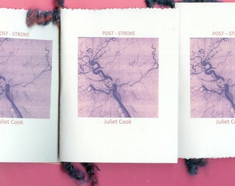 POST STROKE by Juliet Cook