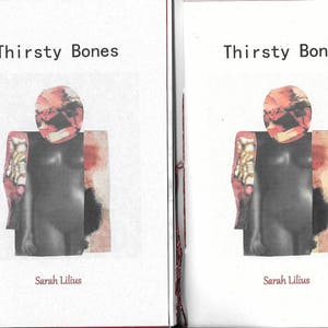 Thirsty Bones by Sarah Lilius 2017 Blood Pudding Press Poetry Chapbook a female body is her own image 1