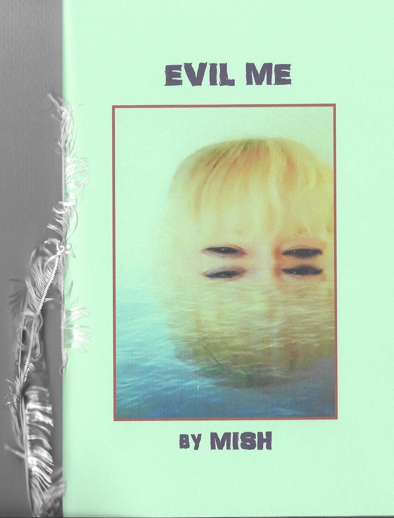 Evil Me by MISH 2020 Blood Pudding Press poetry chapbook evil, quirky, darkly delicious, 19 poems by Eileen Mish Murphy image 2