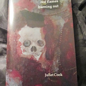 NEW red flames burning out a poetry chapbook by Juliet Cook, published by Grey Book Press in April 2023 strange brain waves image 2