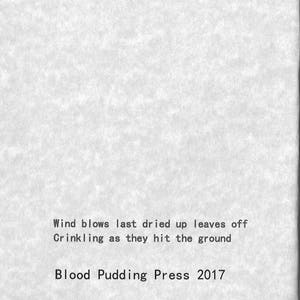 Fuck Cancer Poems by Michael Grover 2017 Blood Pudding Press Poetry Chapbook 22 Poems by a poet living with cancer image 3