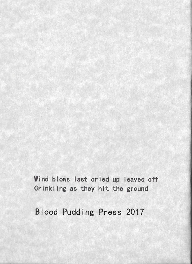 Fuck Cancer Poems by Michael Grover 2017 Blood Pudding Press Poetry Chapbook 22 Poems by a poet living with cancer image 3