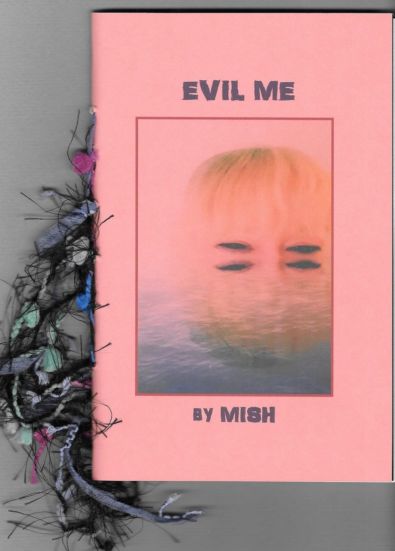 Evil Me by MISH 2020 Blood Pudding Press poetry chapbook evil, quirky, darkly delicious, 19 poems by Eileen Mish Murphy image 3