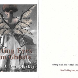 Cutting Eyes from Ghosts by Ariana D. Den Bleyker 2017 Blood Pudding Press Poetry Chapbook fear, black skies, death image 2