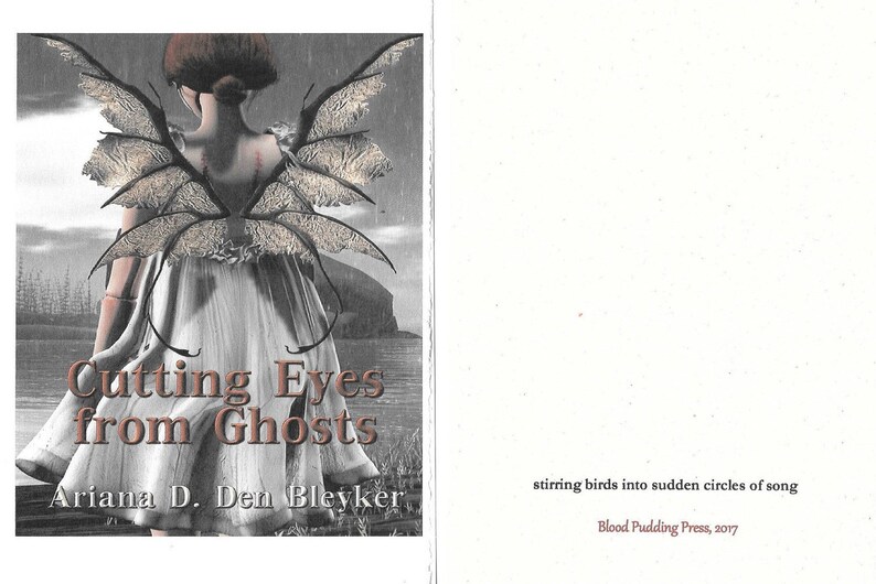 Cutting Eyes from Ghosts by Ariana D. Den Bleyker 2017 Blood Pudding Press Poetry Chapbook fear, black skies, death image 2