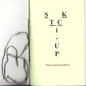 Stick Up by Paul David Adkins 2014 Blood Pudding Press image 2