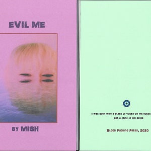 Evil Me by MISH 2020 Blood Pudding Press poetry chapbook evil, quirky, darkly delicious, 19 poems by Eileen Mish Murphy image 1