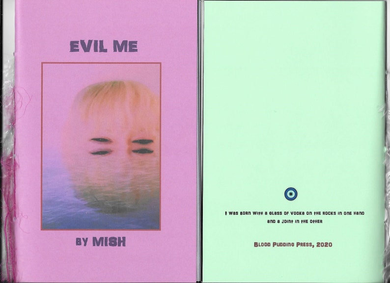 Evil Me by MISH 2020 Blood Pudding Press poetry chapbook evil, quirky, darkly delicious, 19 poems by Eileen Mish Murphy image 1