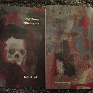 NEW red flames burning out a poetry chapbook by Juliet Cook, published by Grey Book Press in April 2023 strange brain waves image 5