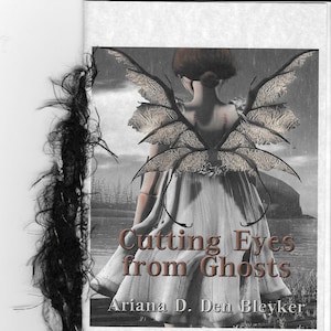 Cutting Eyes from Ghosts by Ariana D. Den Bleyker 2017 Blood Pudding Press Poetry Chapbook fear, black skies, death image 1