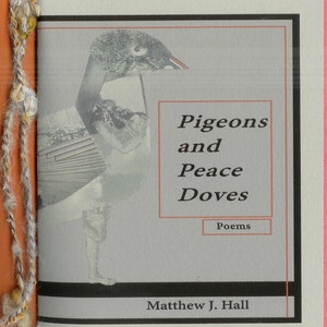 Pigeons and Peace Doves by Matthew J. Hall 2015 Blood Pudding Press Contest Winning POETRY CHAPBOOK self-destructive struggle image 1