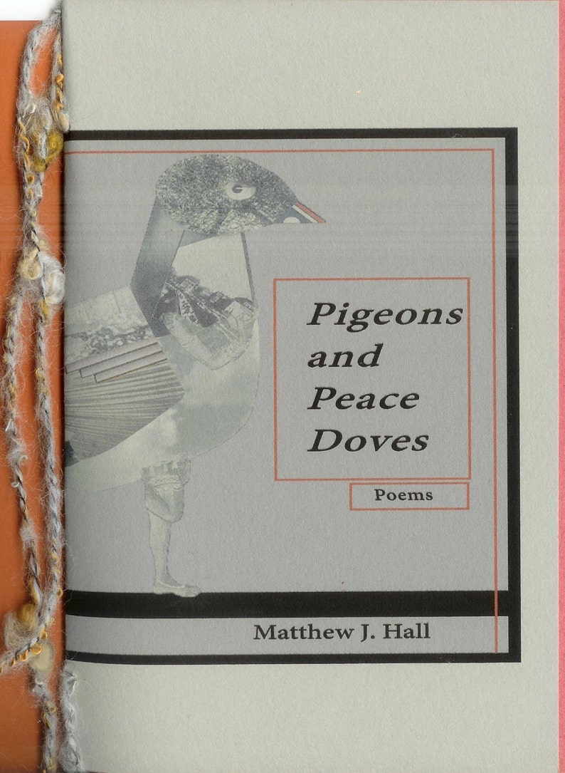 Pigeons and Peace Doves by Matthew J. Hall 2015 Blood Pudding Press Contest Winning POETRY CHAPBOOK self-destructive struggle image 1