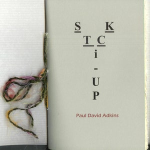 Stick Up by Paul David Adkins 2014 Blood Pudding Press image 3