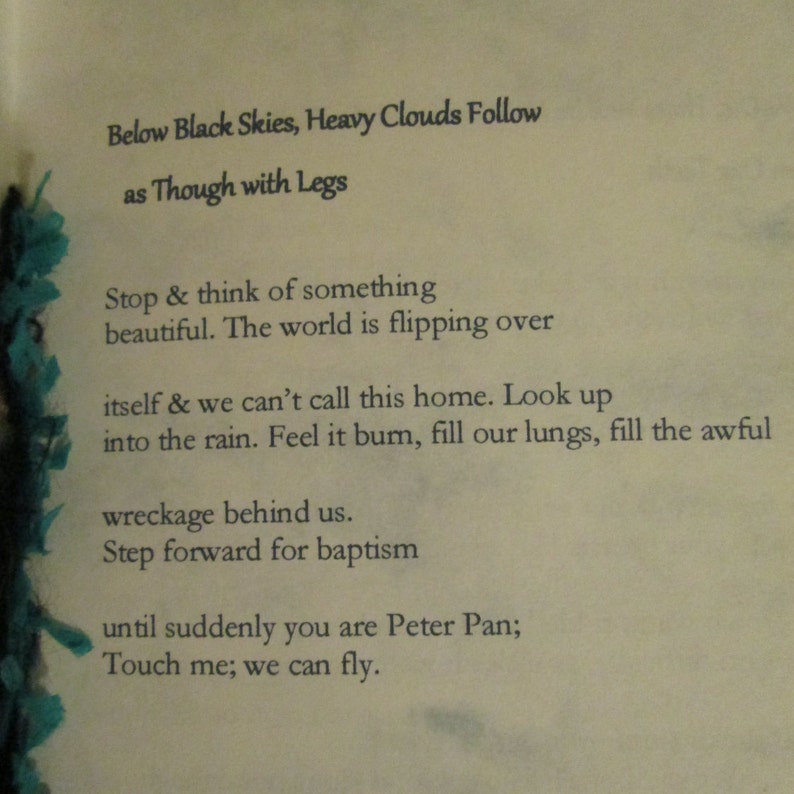 Cutting Eyes from Ghosts by Ariana D. Den Bleyker 2017 Blood Pudding Press Poetry Chapbook fear, black skies, death image 4