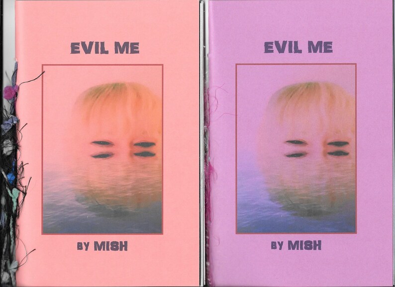 Evil Me by MISH 2020 Blood Pudding Press poetry chapbook evil, quirky, darkly delicious, 19 poems by Eileen Mish Murphy image 6