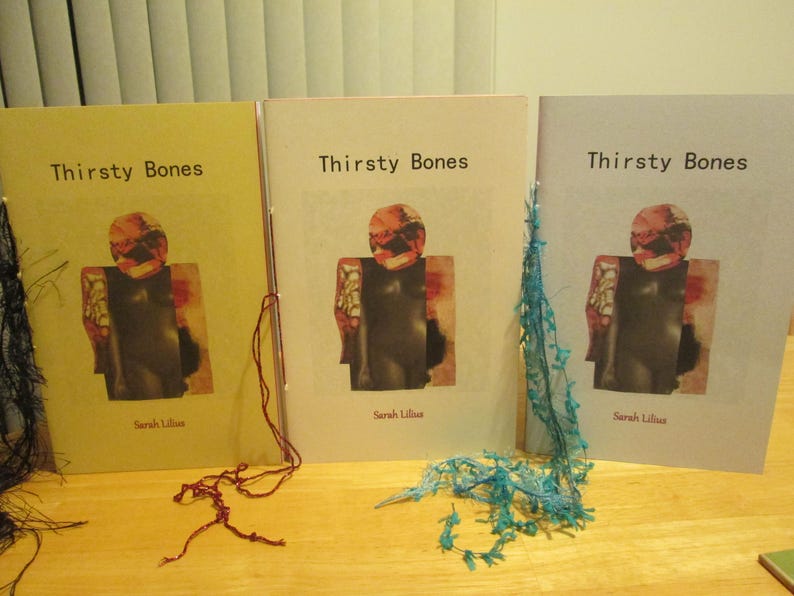 Thirsty Bones by Sarah Lilius 2017 Blood Pudding Press Poetry Chapbook a female body is her own image 3