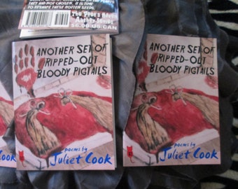 Another Set of Ripped-Out Bloody Pigtails Poetry Chapbook - Juliet Cook, 2019 - The Poet's Haven