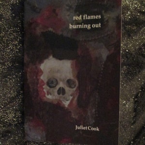 NEW red flames burning out a poetry chapbook by Juliet Cook, published by Grey Book Press in April 2023 strange brain waves image 3
