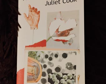 REVOLTING Poetry Chapbook by Juliet Cook – Cul-de-sac of Blood, 2024