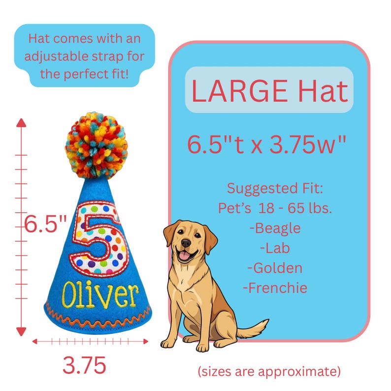 May include: A blue pet birthday hat with a colorful pom-pom and the number 5. The hat is 6.5 inches tall and 3.75 inches wide, with the name "Oliver" embroidered on it. The image includes a cartoon dog and text that reads "LARGE Hat".