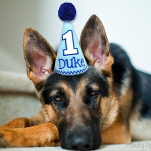 Dog Birthday Hat Blue, Cake Smash Hat, Boy Dog Party Hat, Dogs First Birthday, Pet Birthday, Birthday Hat, Photo Prop, Gotcha Day